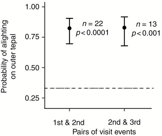 Change in probability of alighting at the outer meranthia between pairs of sequential visit events. The dashed line indicates the predicted probability if tepal choice is random. Shown are sample sizes (n) and P values.