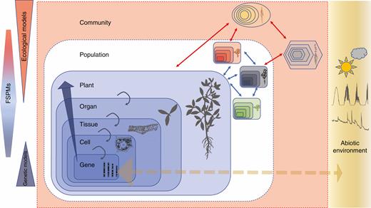 https://academic.oup.com/aob/article/126/4/501/5877839 social preview image