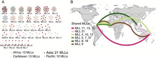 (A) Clonal relationships within the 40 multi-locus lineages (MLLs) identified among the 302 Dioscorea alata diploid accessions. Each cluster represents one MLL. Node colours correspond to the geographical origin of the clones. –(B) Geographical distribution of MLLs shared between continents. The total number of MLLs within each continent is reported: Africa 13 (shared seven); Asia (shared four); Caribbean 13 (shared 12) and Pacific 12 (shared eight). (See also Table 1.)