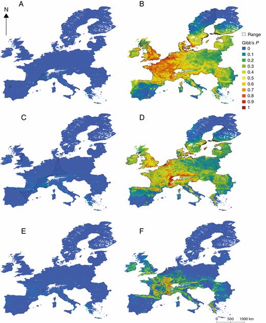Habitat suitability maps of two allogamous Epipactis species, (A) E. fageticola and (B) E. helleborine, two facultative autogamous species, (C) E. dunensis and (D) E. palustris, and two autogamous species, (E) E. albensis and (F) E. muelleri in Europe, predicted by Maxent using occurrence and environmental data, overlain with α-hulls demonstrating the species’ current realized occurrence. High Gibb’s P-values (in red and orange) represent more suitable habitat conditions where the probability of species presence is higher, while low values (in blue and green) represent lower habitat suitability and occurrence probability. See Appendix 1 for the habitat suitability maps of the remaining species.