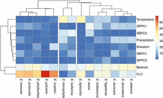 Epipactis species clustered based on habitat similarity. Red and orange cells represent strong associations between species occurrence and the corresponding environmental variable, while blue cells represent weak associations. Variables tested were mean annual temperature, two axes of a PCA of soil biochemical variables (SBPC1 and 2), two axes of a PCA of physical soil characteristics (SPPC1 and 2), elevation, annual precipitation, dominant bedrock material and land cover (CLC).