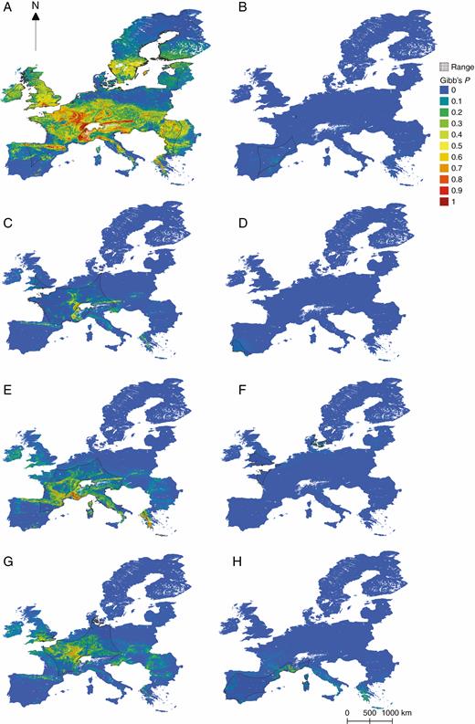 Habitat suitability maps overlain with α-hull range estimations of Epipactis species not illustrated in Fig. 1: E. muelleri (A), kleinii (B), leptochila (C), lusitanica (D), microphylla (E), tremolsii (F).