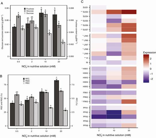Carbohydrate metabolism status of tomato stems according to nitrate treatment prior to inoculation. Sugar contents (A) and relative sugar contents (RSC, RGC and RFC for sucrose, glucose and fructose, respectively) (B) before inoculation are plotted according to nitrate treatment. Each bar is the mean ± standard error of five observations, corresponding to five plants per nitrate treatment, one observation per plant. Different letters above columns indicate significant differences between nitrate treatments according to a Wilcoxon rank-sum test, one test per sugar. Relative gene expression (C) was calculated using the log2(2−ΔΔCq) formula with Sl-ACT and Sl-CYP as a control for normalization. The mean of five observations (corresponding to five plants per nitrate treatment, one observation per plant) was computed. Asterisks next to gene names indicate level of significance according to nitrate treatment: **0.001 < P < 0.01, *0.01 < P < 0.05 (Kruskal–Wallis test).