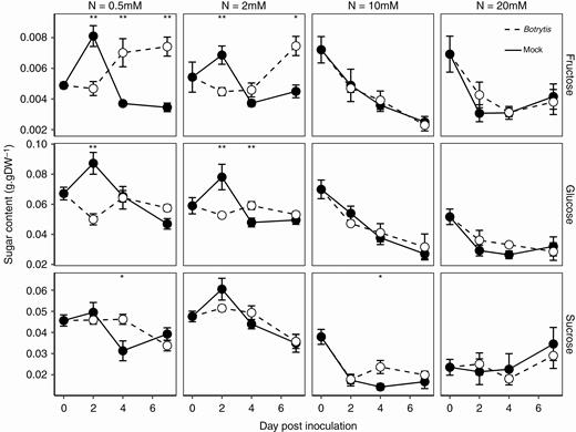 Course of sugar contents after Botrytis inoculation in fungus-free tomato stems. Each symbol is the mean ± standard error of five observations (corresponding to five plants per nitrate treatment, one observation per plant). Asterisks indicate levels of significance of the difference in Botrytis-inoculated plants compared with mock-inoculated plants with the same combination of nitrate treatment × day of measurement: **0.001 < P < 0.01, *0.01 < P < 0.05 (Kruskal–Wallis test).—