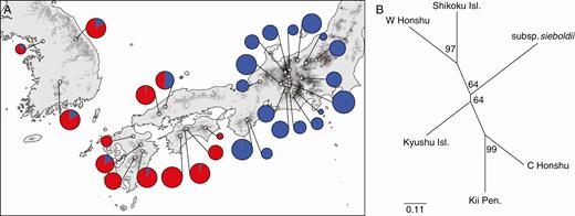 (A) Pie charts of the posterior membership coefficients in the K = 2 genetic clusters identified by STRUCTURE. The open circles indicate the sample locations. (B) Neighbor-Joining (NJ) dendrogram based on Nei’s DA for the six regional populations of M. sieboldii. Bootstrap values over loci are indicated for each node.
