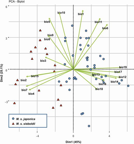 Principal component analysis based on 19 climatic variables at the 62 M. sieboldii occurrence locations.