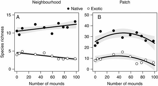 Relationships between disturbance (number of mounds) and native and exotic species at the neighbourhood (A) and patch (B) scales. All relationships were statistically significant (see Supplementary data Table S1). Shaded areas around regression lines represent 95 % confidence intervals.