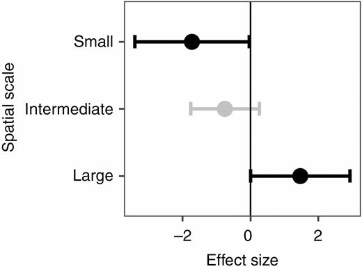 Mean effect sizes (Hedges’ g) of differences in functional dispersion between undisturbed and disturbed plant communities for small, intermediate and large spatial scales. Error bars depict 95 % confidence intervals (CIs). A mean effect size is significantly different from zero when CIs do not overlap zero. Significant results are shown in black. Negative (or positive) effect sizes indicate that disturbed sites have on average greater (or lesser) functional divergence than disturbed sites.