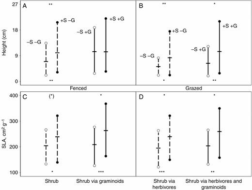 Mean trait range (n = 15; vertical line) and CWM (n = 15; horizontal lines) of height (A and B) and specific leaf area (SLA; C and D) in the absence (open circle) and presence (filled circle) of shrubs in the fenced (A and C) and grazed meadows (B and D). Direct shrub effects and shrub effects via herbivores (i.e. without graminoids) on trait range and CWM are shown by differences between dashed lines, whereas shrub effects via graminoids and shrub effects via herbivores and graminoids are indicated by differences between solid lines. Asterisks at the bottom of each set of lines indicate significant changes in the CWM of the trait due to the effects of the shrub from t-tests, and ‘+’ at the top of each set of lines indicates significant changes in trait range due to the effects of the shrub from t-tests. (*)/(+), P < 0.1; */+, P < 0.05; **/++, P < 0.01; ***/+++, P < 0.001. Treatments for assessing shrub effects are shown, ‘–S –G’, without shrub without graminoids; ‘+S –G’, with shrub without graminoids; ‘–S +G’, without shrub with graminoids; ‘+S +G’, with shrub with graminoids.