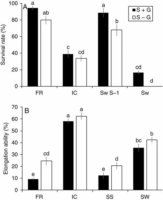 Changes in the survival rate (A) and elongation ability (B) in four rice genotypes (FR, FR13A; IC, IC450292; SS, Swarna-Sub1; SW, Swarna) subjected to 14 d of complete submergence with (S + G) and without (S – G) a leaf gas film. The values presented are the mean ± s.e.m. (n = 10 for A and n = 5 for B), and values sharing the same letter are not significantly different (P < 0.05) according to Tukey’s multiple range test.