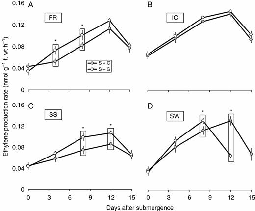 Periodic changes in rate of ethylene production in FR13A (A), IC450292 (B), Swarna-Sub1 (C) and Swarna (D) subjected to 14 d of complete submergence with (S + G) and without (S – G) a leaf gas film. The values presented are the mean ± s.e.m. (n = 3), and the data points marked by a box with ‘*’ at the top denote a significant difference (P < 0.05) between (S + G) and (S – G) treatments according to Tukey’s multiple range test.