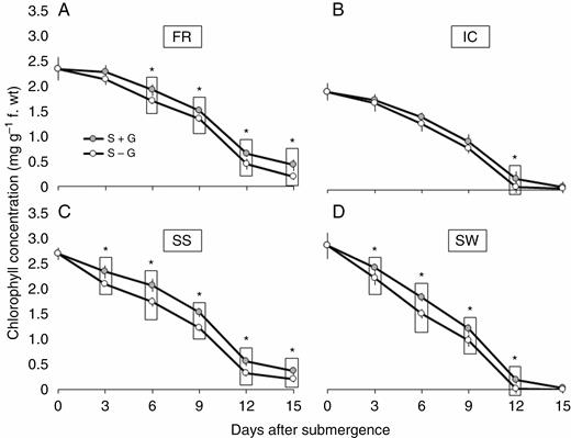 Periodic changes in chlorophyll content in FR13A (A), IC450292 (B), Swarna-Sub1 (C) and Swarna (D) subjected to 14 d of complete submergence with (S + G) and without (S – G) a leaf gas film. The values presented are the mean ± s.e.m. (n = 5), and the data points marked by a box with ‘*’ at the top denote a significant difference (P < 0.05) between (S + G) and (S – G) treatments according to Tukey’s multiple range test.