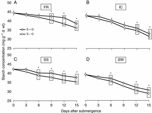 Periodic changes in total starch content in FR13A (A), IC450292 (B), Swarna-Sub1 (C) and Swarna (D) subjected to 14 d of complete submergence with (S + G) and without (S – G) a leaf gas film. The values presented are the mean ± s.e.m. (n = 3), and the data points marked by a box with ‘*’ at the top denote a significant difference (P < 0.05) between (S + G) and (S – G) treatments according to Tukey’s multiple range test.