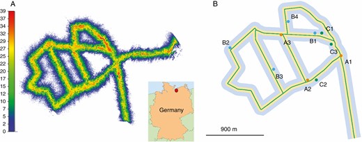 MLS data recording in the Lauerholz Forest, Northern Germany. (A) MLS data of scanner 1 (thinned point cloud, showing every 15th point) with location map; colours indicate the canopy height; (B) MLS trajectory along forest tracks with buffer zones (yellow, 35 m; light blue, 100 m) and indication of the location of the ten sample plots. The colour symbolizes the distance of the plot centre to the trajectory: orange up to 20 m; blue 20 m up to 40 m; green 40 m up to 60 m.
