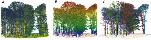 (A) MLS point cloud of plot A2 (colour-coded by intensity, plot radius 22.6 m); (B) filtered point cloud colour-coded by height without ground points and DTM points (brown, grid size 1 m); (C) segmented trees.