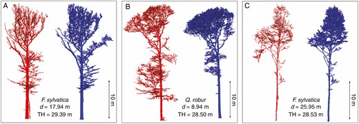 Examples for undersegmented (A) and oversegmented (B, C) MLS trees (red) in comparison with TLS trees (blue) with distances to trajectory (d) and tree height (TH). The segmented TLS tree acts as a reference, and missing tree parts in the MLS data are considered as undersegmentation, and obviously additional branches (from neighbouring trees) are considered as oversegmentation. Trees from two plots of group A (A1 and A2). For printing purposes, the same visualization parameters were used for both datasets.
