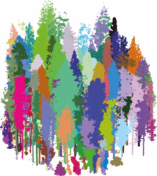 Segmentation of individual trees from a whole-forest scan. Although manual segmentation is possible, automation or semi-automation of this process can greatly speed up the processing of TLS data. The different colours delineate between individual trees in the forest community.