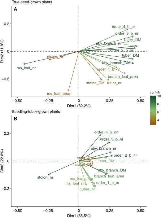 Principal component analysis of the associations between architectural traits for true-seed-grown plants (A) and seedling-tuber-grown plants (B). The longer the arrows, the greater the contribution of the variable to the principal components.