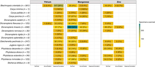 Species-level representation of the number of specimens analysed with foliar concentrations of Y, Mn and Zn >LODs. Only species containing at least one specimen with a foliar concentration of Y >LOD are shown. Percentages are calculated relative to the total number of specimens analysed for a given species. The accumulation categories refer to those in Table 1.
