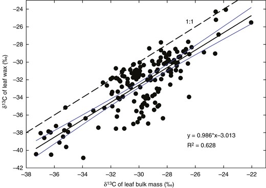 Relationship between carbon isotope compositions of leaf cuticular wax and bulk leaf dry mass. Data were collected from 178 stable isotope ratio mass spectrometer analyses of bulk leaf dry mass and wax of 49 hypostomatous and four amphistomatous C3 species in our laboratory between 2004 and 2021. Each point represents the mean of δ13C for the adaxial and abaxial wax, plotted vs. δ13C of the leaf dry mass. The dashed line shows the 1:1 relationship (i.e. δ13C being identical in wax and leaf dry mass). The continuous line represents the regression (see inset equation) together with its 95 % confidence interval.