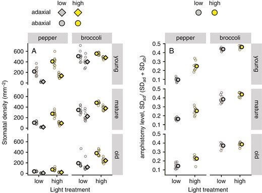 Stomatal density (SD) and amphistomy level of pepper and broccoli leaves of different age grown in high-light (450 ± 50 μmol m−2 s−1) and low-light treatments (100 ± 20 μmol m−2 s−1). The SD on adaxial and abaxial leaf sides (A) and amphistomy level (B) were estimated in young, mature and old leaves. Means (bold symbols) and individual measurements (n = 9) are shown. Data were obtained in the fifth experimental run. Pooled data from runs 1–4 are shown in Supplementary Data Fig. S6.