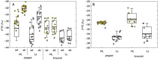 The 13C abundance (δ13C) in pepper and broccoli leaves grown under high (HL, 450 ± 50 μmol m−2 s−1) and low (LL, 100 ± 20 μmol m−2 s−1) irradiance. The δ13C was measured in adaxial (ad) and abaxial (ab) bulk epicuticular wax (A) and in bulk dry mass (B). The lines inside the boxes indicate the median and mean (thin and thick line, respectively); the lower and upper boundaries of boxes and error bars show the 25–75 percentiles and 10–90 percentiles, respectively (pepper, n = 20; broccoli, n = 10). One-way ANOVA, P < 0.05. Separate statistical analyses were performed for pepper and broccoli datasets. Identical letters below the columns indicate the absence of statistically significant differences.