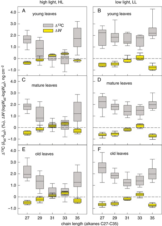 Relationships between the leaf-side-specific differences in deposition of epicuticular wax compounds (ΔW) of pepper and the leaf-side-specific differences in their 13C content (Δ13C). Five odd-chain alkanes (C27, C29, C31, C33 and C35), extracted by n-hexane from epicuticular wax of adaxial and abaxial pepper leaves, were investigated for their amount (W, determined by gas chromatography) and carbon isotope ratio (δ). Plants were grown at high light (A, C, E) or low light (B, D, F) and leaves of three age categories - young (A, B), mature (C, D) and old (E, F) - were investigated. The abaxial and adaxial W is expressed as logW. The line inside the boxes indicates the median; the lower and upper boundaries of boxes and error bars show the 25–75 and 10–90 percentiles, respectively. Each box was calculated from nine measurements on three plants.