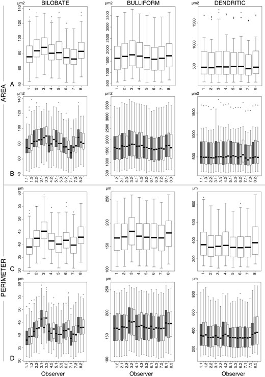 Measurements of the size variables Area and Perimeter for Bilobate, Bulliform and Dendritic. (A, B) Area. (C, D) Perimeter. (A, C) Sorted by observer and type. (B, D) Sorted by observer, week and type. Symbols: Ο = outlier, >1.5× and <3× interquartile range.