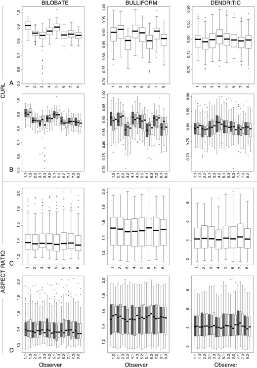 Measurements of the shape variables Curl and Aspect ratio for Bilobate, Bulliform and Dendritic. (A, B) Curl. (C, D) Aspect ratio. (A, C) Sorted by observer and type. (B, D) Sorted by observer, week and type. Symbols: Ο = outlier, >1.5× and <3× interquartile range.