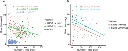 Graphs demonstrating that shoot biomass was negatively correlated with the number of filled grains in the 3KRG experiments and in both trimming treatments of the fourth experiment.