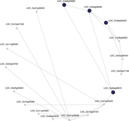 Illustration of the co-expression networks among candidate genes from the promising region on chromosome 8.
