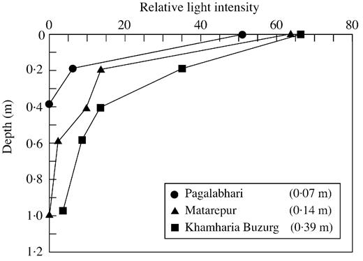 Fig. 2. Influence of depth in the water on the percentage loss of incident light intensity at three field sites in eastern India. The inset values show the depth in metres at which light intensity would have been halved (taken from Ram et al., 1999).