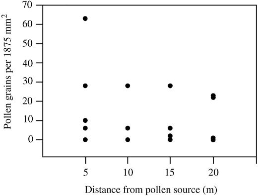 Fig. 2. Graph illustrating pollen dispersal on petroleum jelly‐covered slides placed along a transect within a population of flowering plants of T. moorei. Each point represents the number of pollen grains from one slide.