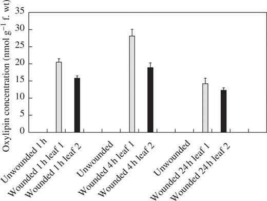 Effect of wounding first leaves of broad bean on concentrations of TriHOE1 in first (open bar) and second leaves (black bar). TriHOE1 was not detected in unwounded plants. Values represent means ± s.e.m. of four replicates.