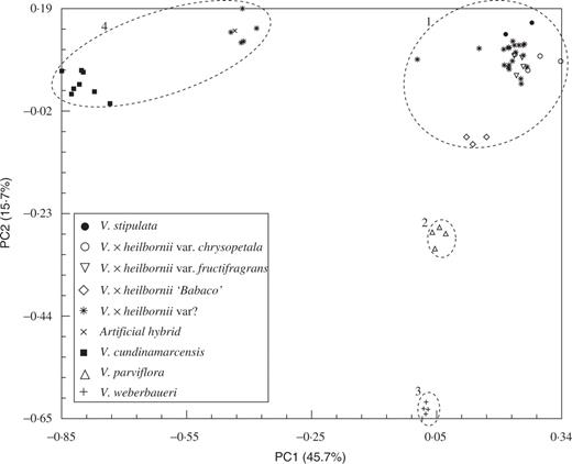 Principal co-ordinates (PCO) analysis for the first and second principal co-ordinates estimated with 234 AFLP markers scored for 61 Vasconcellea individuals from southern Ecuador. The numbers with the circles refer to the corresponding cluster in the UPGMA-dendrogram (Fig. 1).