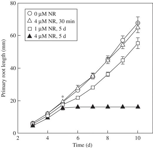 Root growth dynamics in Arabidopsis plants, Col-0, subjected to short-term (30 min) and long-term (5d) treatment with NR (pH 5·8). Asterisk indicates the time of short-term treatment or time of transfer of the roots into medium supplemented with NR. Data are means ± 95 % confidence interval (n = 11). The experiment was repeated at least twice.