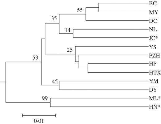 UPGMA dendrogram based on Nei's (1972) genetic distance. * Populations found in the Nanpan drainage area.