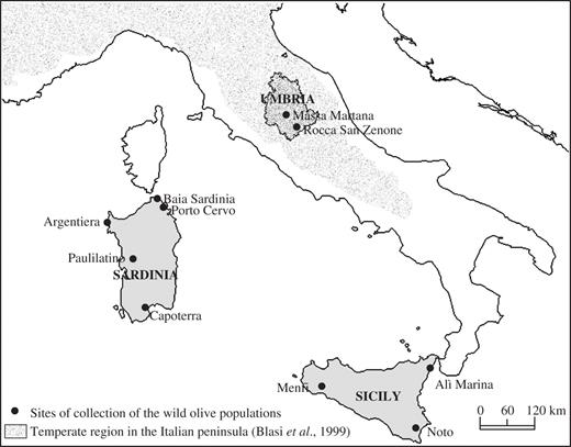 Map of the sites where oleaster populations were collected. The regions under study are shown in grey. The temperate region is distinguished from the Mediterranean region by grainy shading.