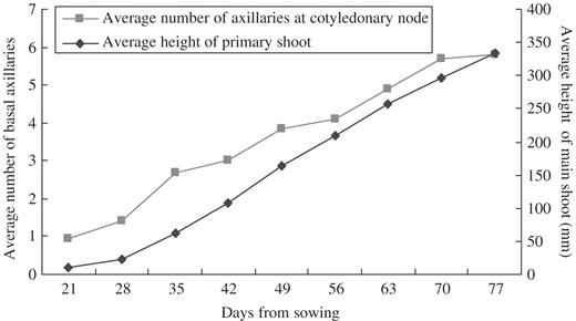 Number of axillary buds/shoots at the cotyledonary node and average height of Lotus throughout 77 d growth duration.