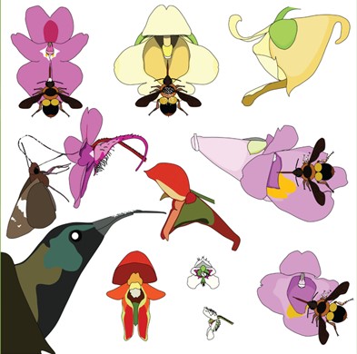 issue cover