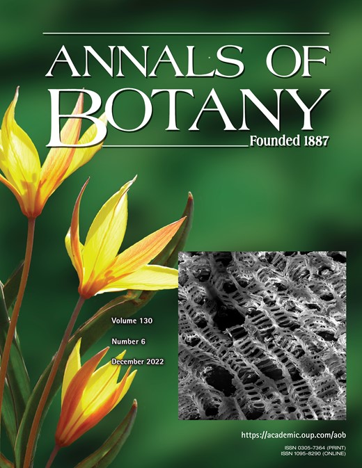 Annals of Botany Cover Image for Volume 130, Issue 6