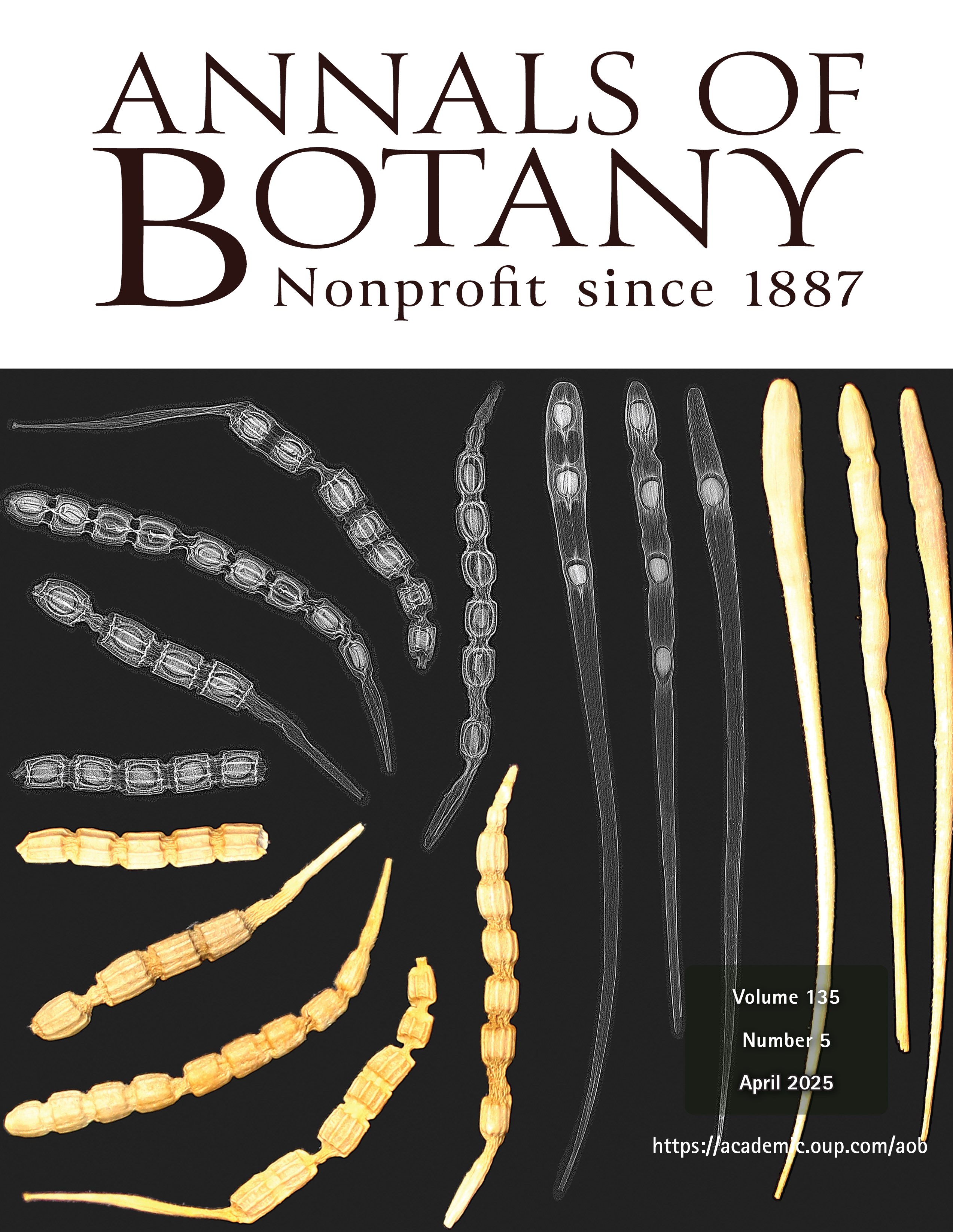 issue cover