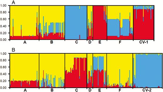 The model-based clusters of wild Oryza rufipogon individuals from six populations (A to F) and two sets of rice cultivars from Guangdong, Guangxi and Fujian provinces (CV-1) and Gaozhou (CV-2) based on the STRUCTURE analysis (K = 3) of SSR markers (panel A) and InDel markers (panel B). Identities of the wild populations and the cultivar groups are indicated below the figures (vertical bars) divided by black lines. The height of different colours in each individual designates its membership coefficient to the different clusters, and the same colour indicates the close consanguinity.