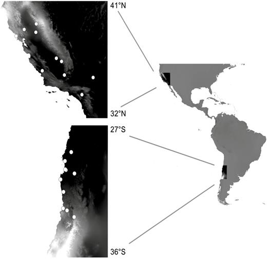 Locations of Erodium cicutarium source populations. White circles represent sites from which seeds were collected for use in greenhouse experiments. The background colour represents mean annual precipitation (lighter = wetter).