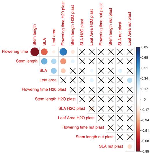 Correlations among traits and their plasticity for Erodium cicutarium maternal families grown in the greenhouse. Dot colour indicates the sign of correlations: red for negative correlations, blue for positive correlations. Dot size represents the absolute strength of correlations. Cells marked with ‘X’ contain correlations that are not statistically significant at the level P < 0.05. ‘H2O plast’ and ‘nut plast’ refer to trait plasticity to water and nutrients, respectively.
