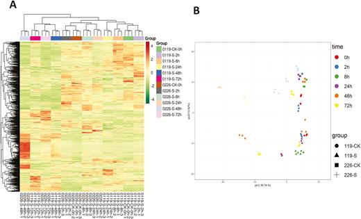 (A) Heatmap hierarchical clustering of detected metabolites. Hierarchical trees were drawn based on detected metabolites in leaves of 0119 and 0226 at 0, 2, 8, 24, 48 and 72 h in control (CK) and salt stress treatment (S). The columns correspond to cultivar at different time points, while the rows represent different metabolites; (B) PCA loading plot of the two first principal components based on the metabolic data from leaves of 0119 and 0226 at 0, 2, 8, 24, 48 and 72 h in control (CK) and salt stress treatment (S).