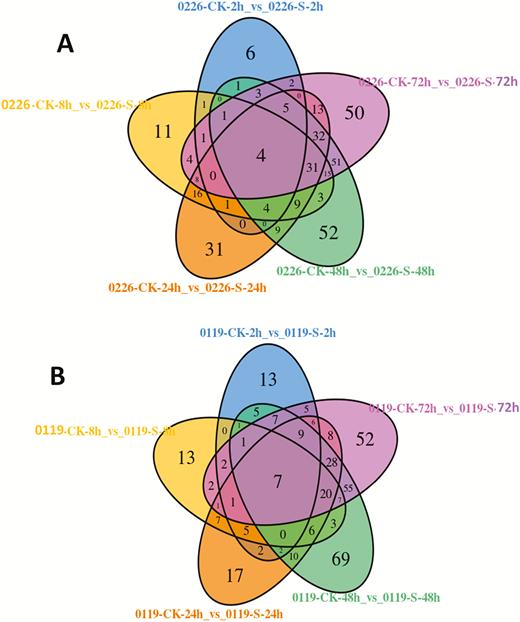 (A) Venn diagram depicting the shared and common DAMs between the time point series under salt stress in 0226; (B) Venn diagram depicting the shared and common DAMs between time point series under salt stress in 0119.