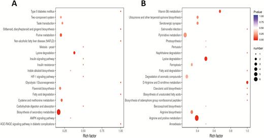 (A) KEGG enrichment analysis of the DAMs between 0119 and 0226 at 2 h under salt stress; (B) KEGG enrichment analysis of the DAMs between 0119 and 0226 at 8 h under salt stress.