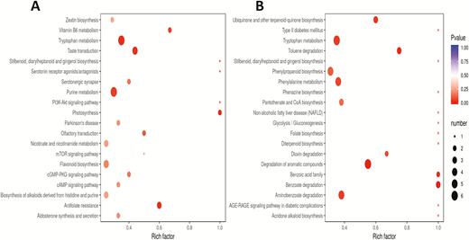 (A) KEGG enrichment analysis of the DAMs between 0119 and 0226 at 24 h under salt stress; (B) KEGG enrichment analysis of the DAMs between 0119 and 0226 at 48 h under salt stress.