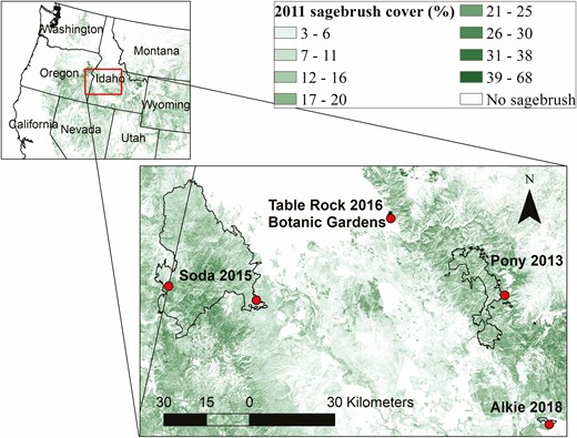 Locations of fires (outlines) and trapping sites (dots) for dispersal study shown as an inset map on western USA and 2011 sagebrush cover (%) from the National Land Cover Database (NLCD) (Rigge et al. 2020).